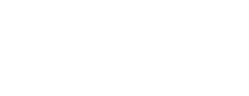 Renault-Nissan